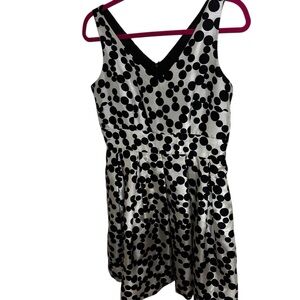 Taylor black cream white polka dot dress size 10 like new nwot